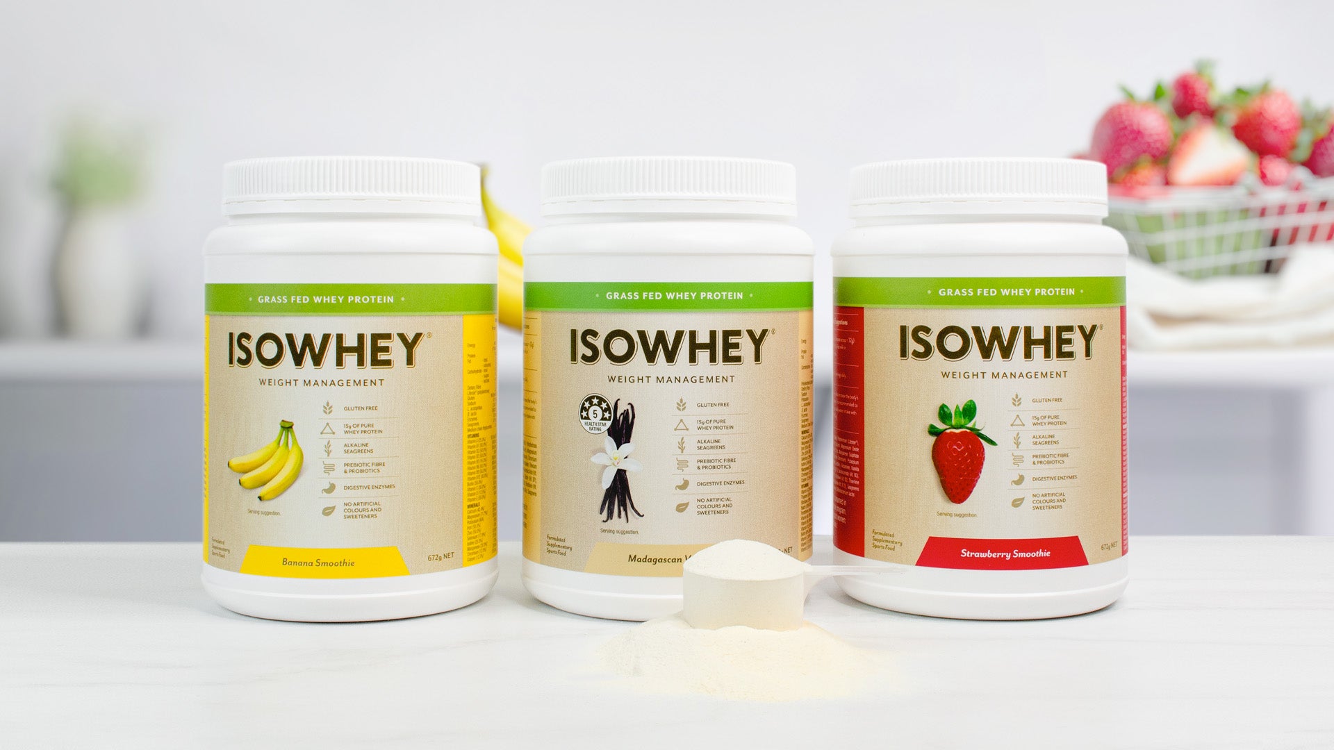 Protein Shakes